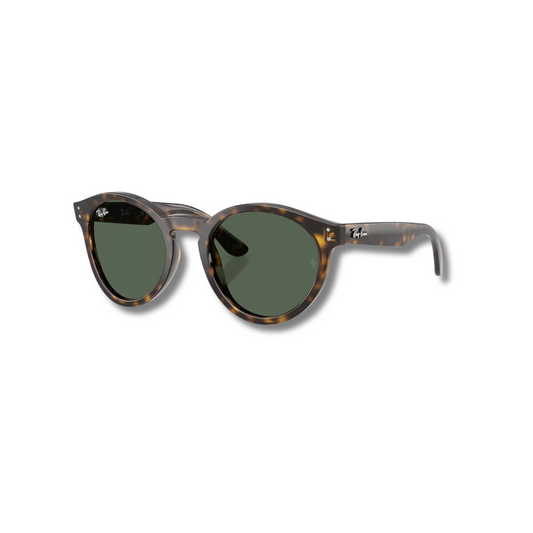 Gafas de Sol RB2180 Reverse Carey Classic