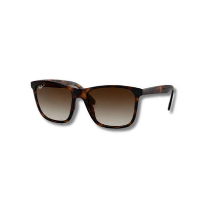 Gafas de Sol RB4349 Carey Brown
