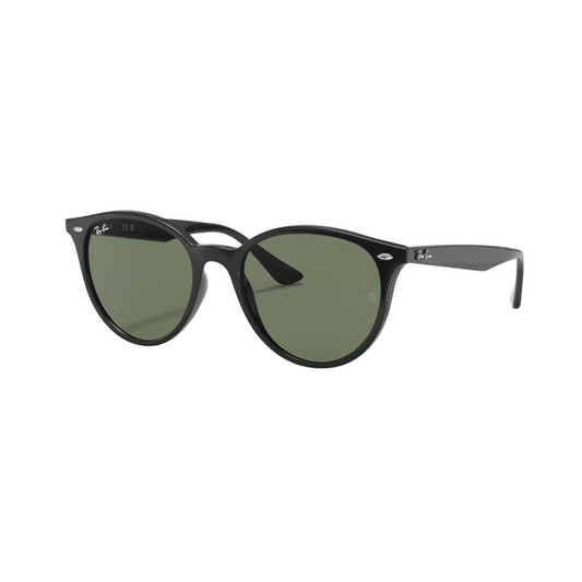 Gafas de Sol RB4305 Classic