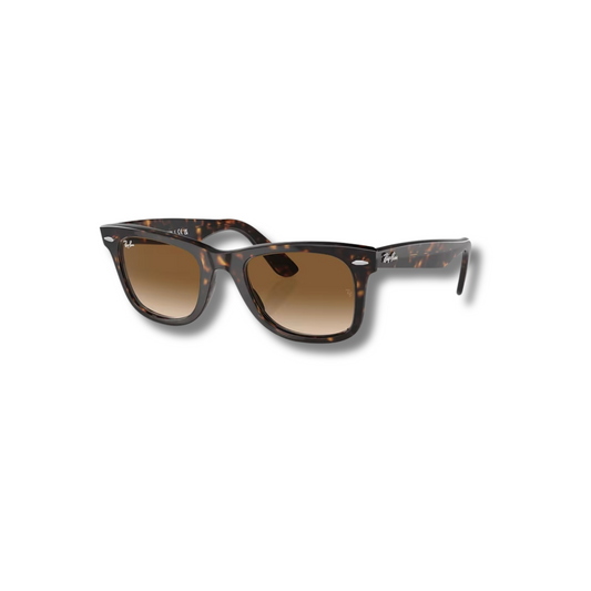 Gafas de Sol RB Wayfarer Carey Brown