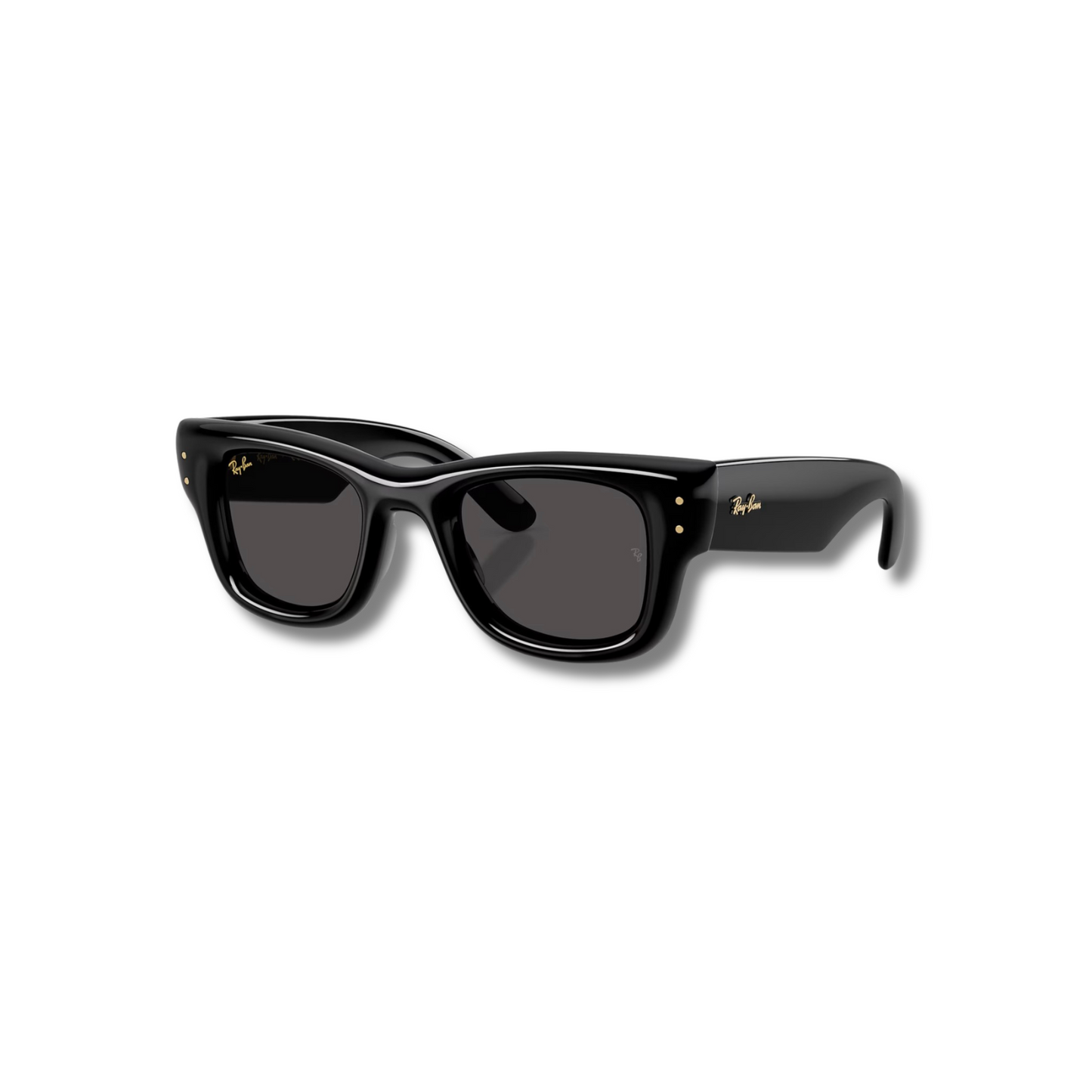 Gafas de Sol RB Wayfarer Puffer Black