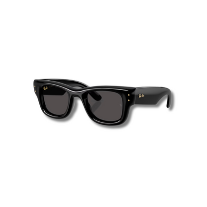 Gafas de Sol RB Wayfarer Puffer Black
