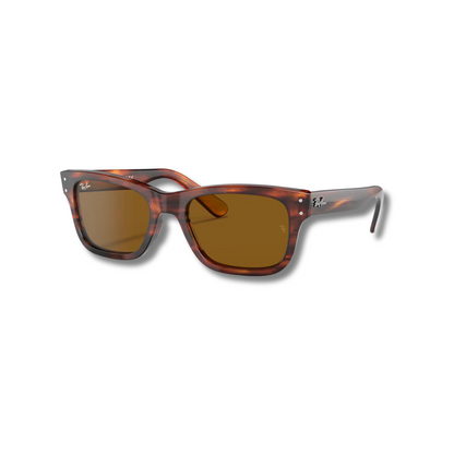 Gafas Sol RB2283 Burbank Carey Brown