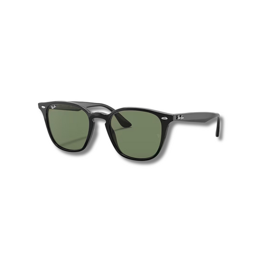 Gafas de Sol RB4258 Classic