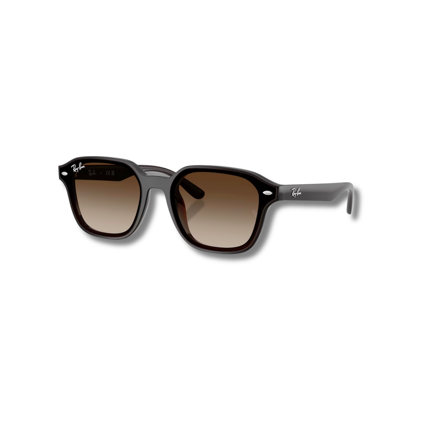 Gafas de Sol RB4458D Brown