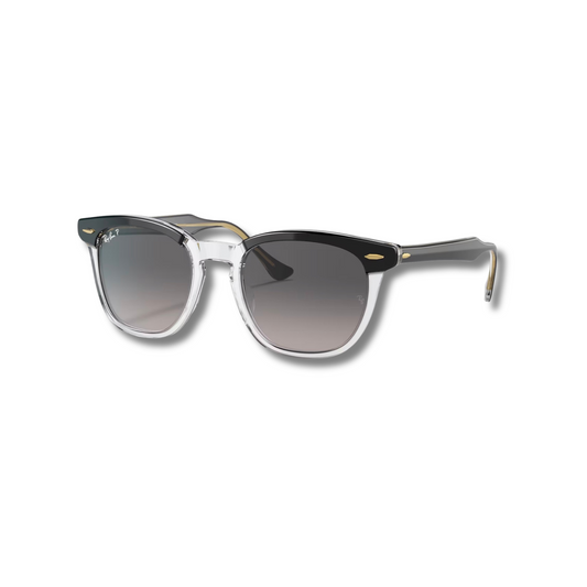 Gafas de Sol RB Hawkeye Transparent Gradient