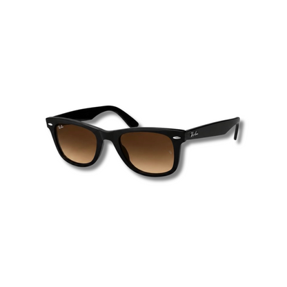 Gafas de Sol RB Wayfarer Brown Black