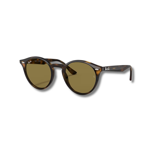 Gafas de Sol RB2180 Carey