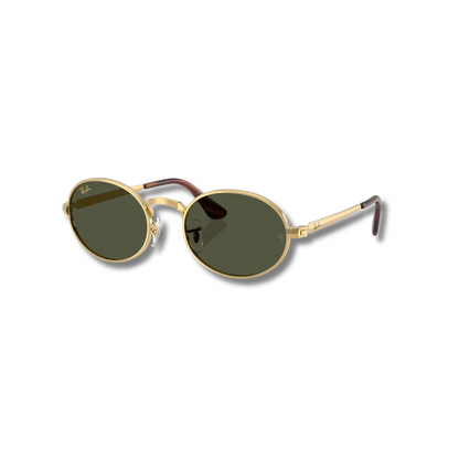 Gafas de Sol RB3931 A$AP ROCKY Classic