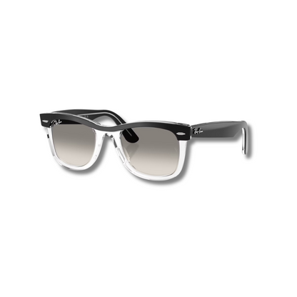 Gafas de Sol RB Wayfarer Street Neat Black Transparent