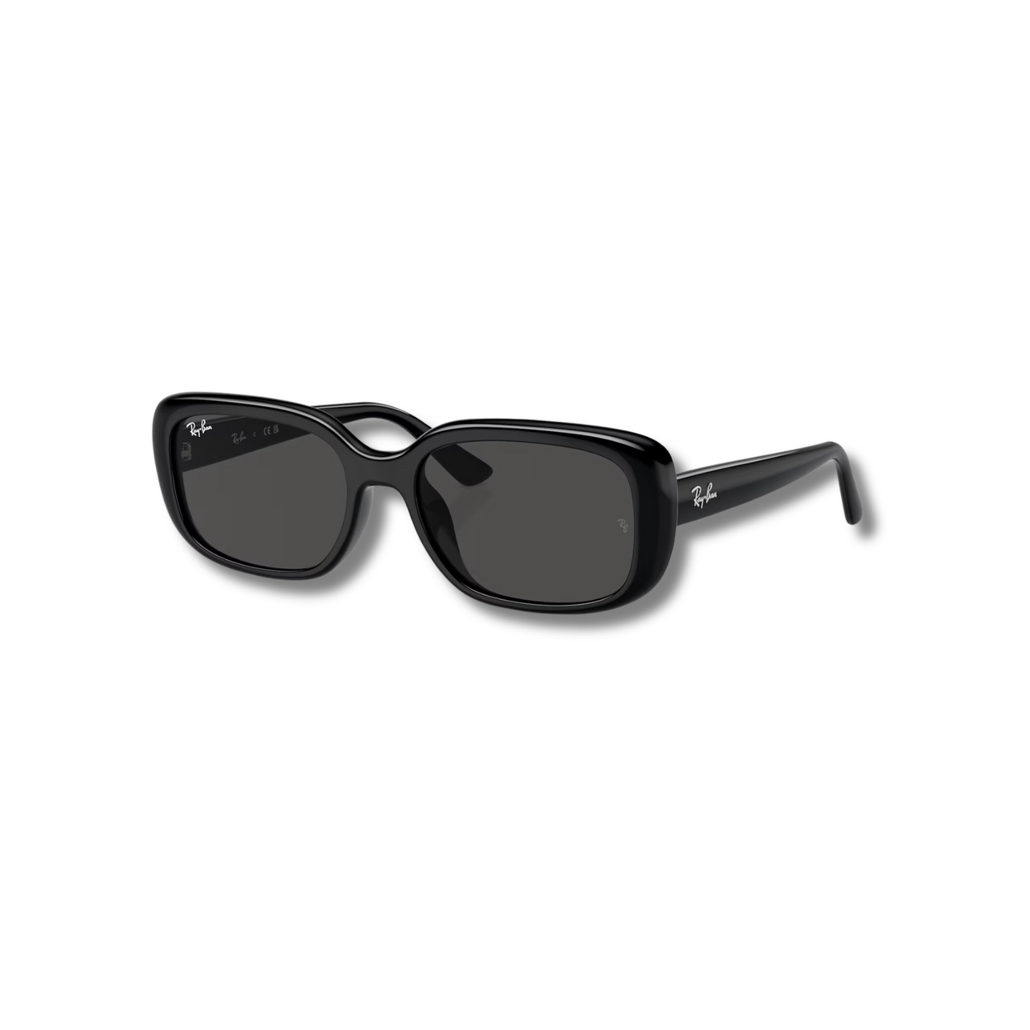 Gafas de Sol RB4421D Black