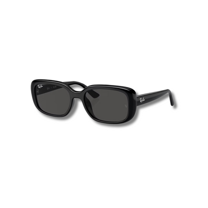 Gafas de Sol RB4421D Black