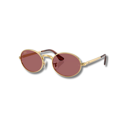 Gafas de Sol RB3931 A$AP ROCKY Pink