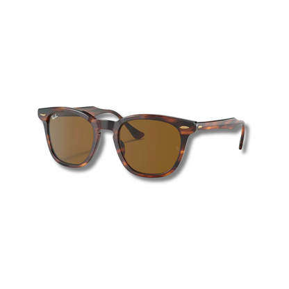 Gafas de Sol Rb Hawkeye Carey Brown
