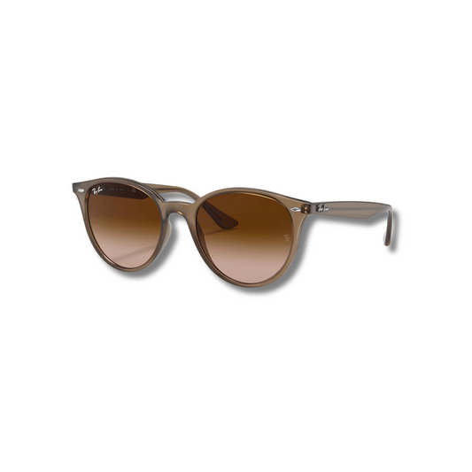 Gafas de Sol RB4305 Beige