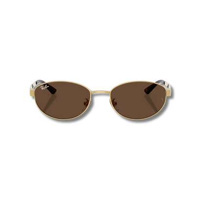 Gafas de Sol RB3774D Brown