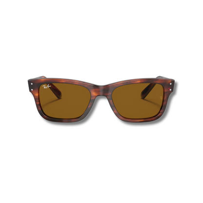 Gafas Sol RB2283 Burbank Carey Brown