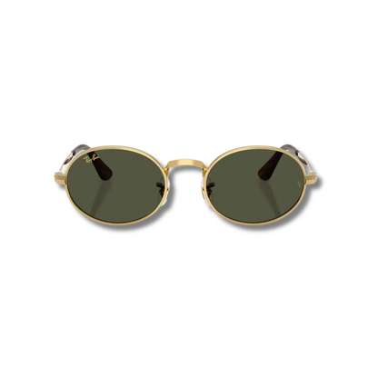 Gafas de Sol RB3931 A$AP ROCKY Classic
