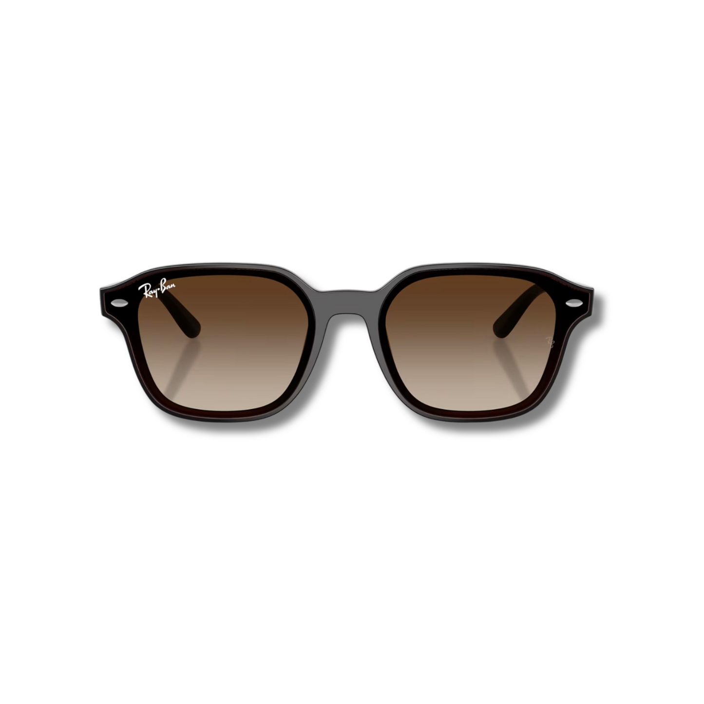 Gafas de Sol RB4458D Brown