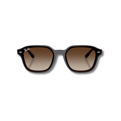 Gafas de Sol RB4458D Brown