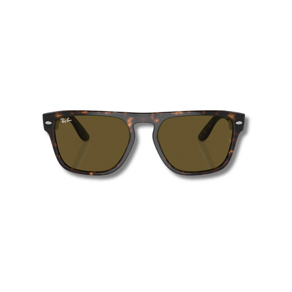 Gafas de Sol RB4407 Carey