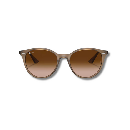 Gafas de Sol RB4305 Beige