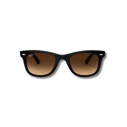 Gafas de Sol RB Wayfarer Brown Black
