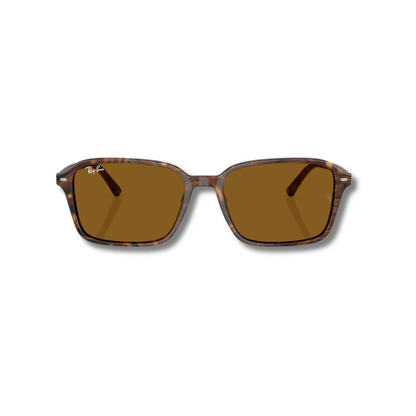 Gafas de Sol RB Raimond Carey Brown