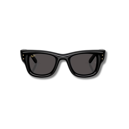 Gafas de Sol RB Wayfarer Puffer Black