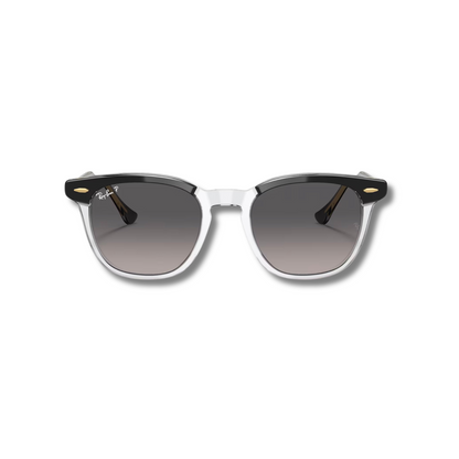Gafas de Sol RB Hawkeye Transparent Gradient