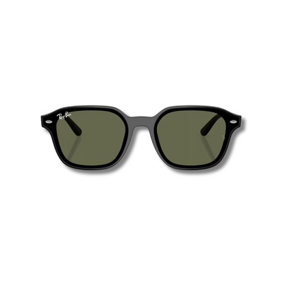 Gafas de Sol RB4458D Classic
