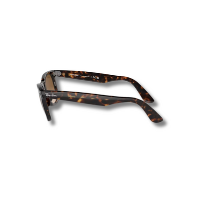 Gafas de Sol RB Wayfarer Carey Brown