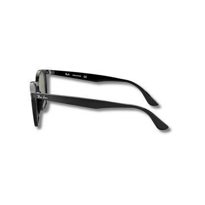 Gafas de Sol RB4258 Classic