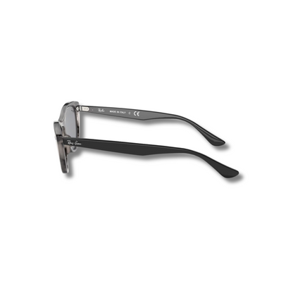 Gafas de Sol RB Nina Havanna Grey