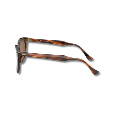 Gafas de Sol Rb Hawkeye Carey Brown