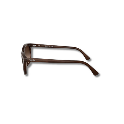 Gafas de Sol RB Zaya Brown