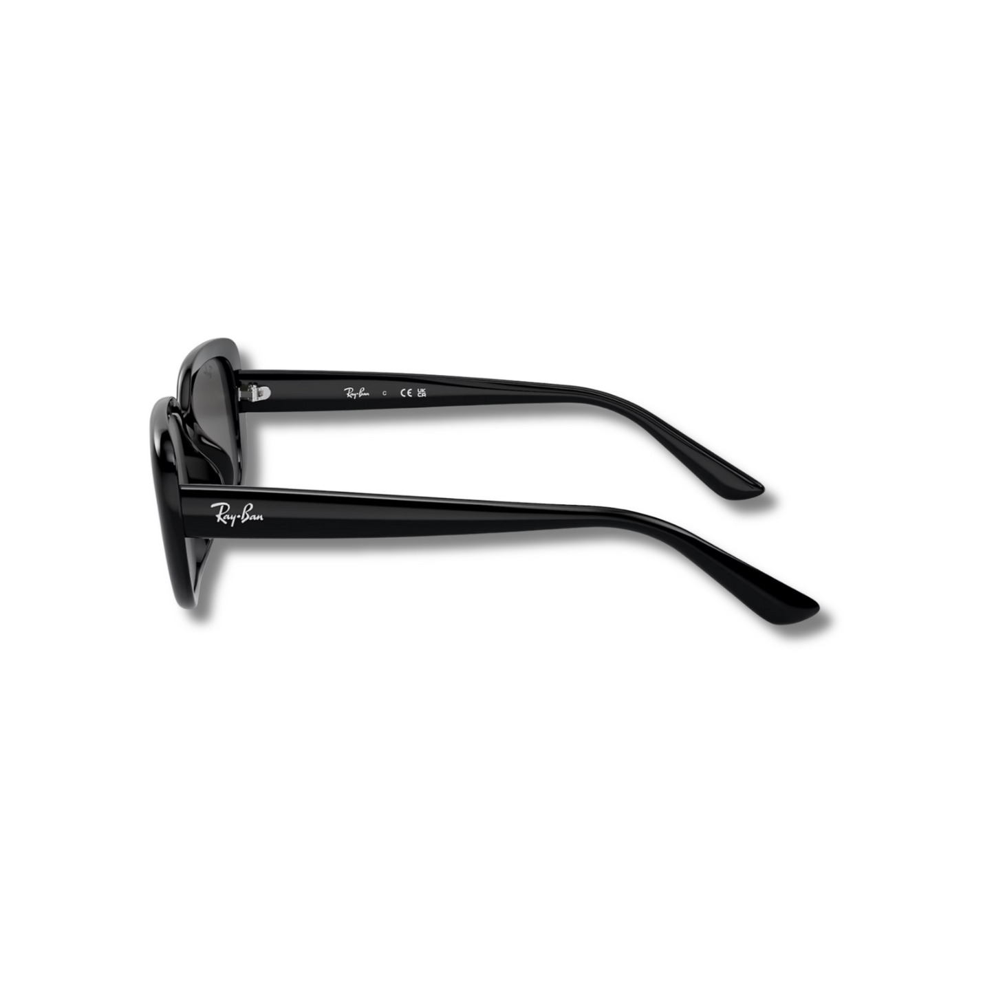 Gafas de Sol RB4421D Black