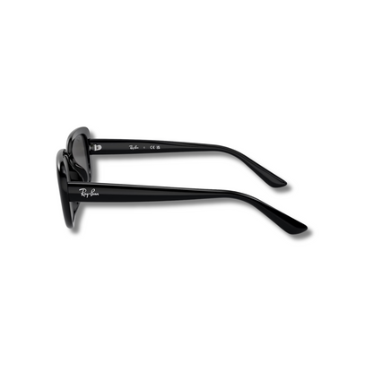 Gafas de Sol RB4421D Black
