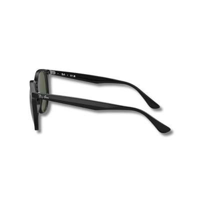 Gafas de Sol RB4306 Classic