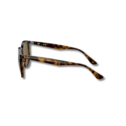 Gafas de Sol RB4306 Carey