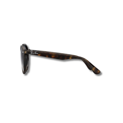 Gafas de Sol RB2180 Carey Gradient