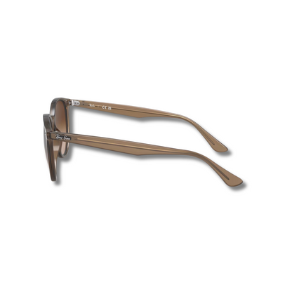 Gafas de Sol RB4305 Beige