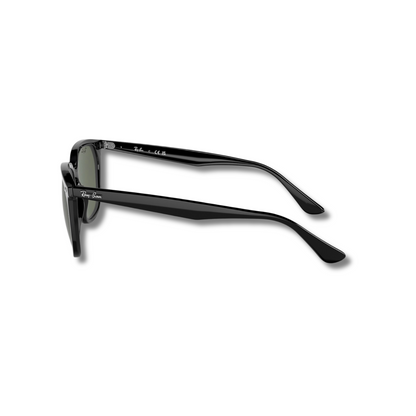 Gafas de Sol RB4362 Classic