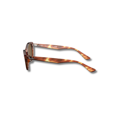 Gafas de Sol RB Nina Carey