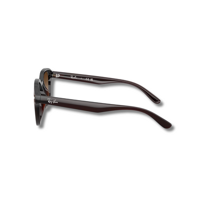 Gafas de Sol RB4458D Brown