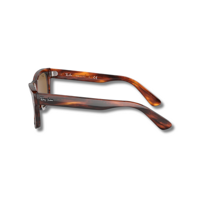 Gafas Sol RB2283 Burbank Carey Brown