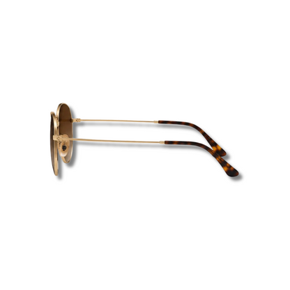 Gafas de Sol RB8147 Brown