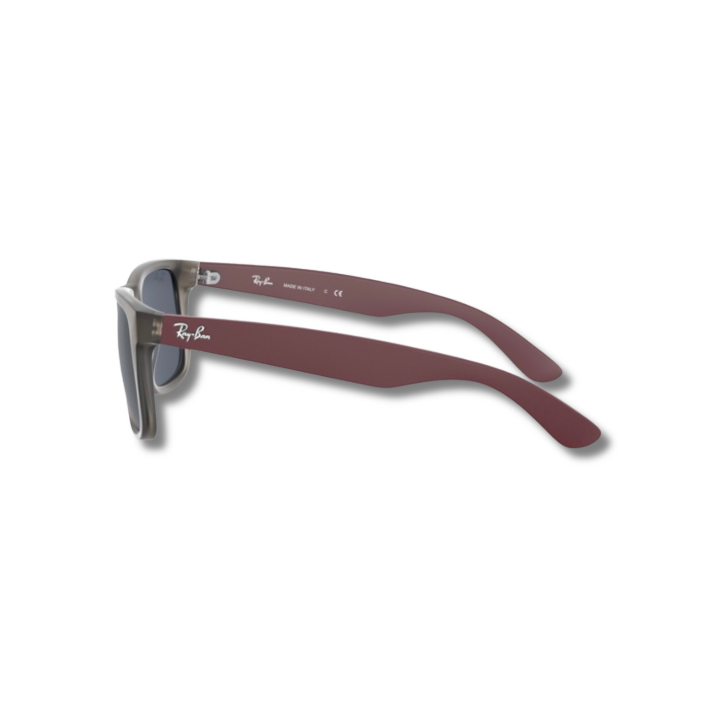 Gafas de Sol RB Justin Black Grey
