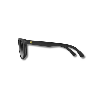 Gafas de Sol Edición Ferrari RB4393M Black Gradient