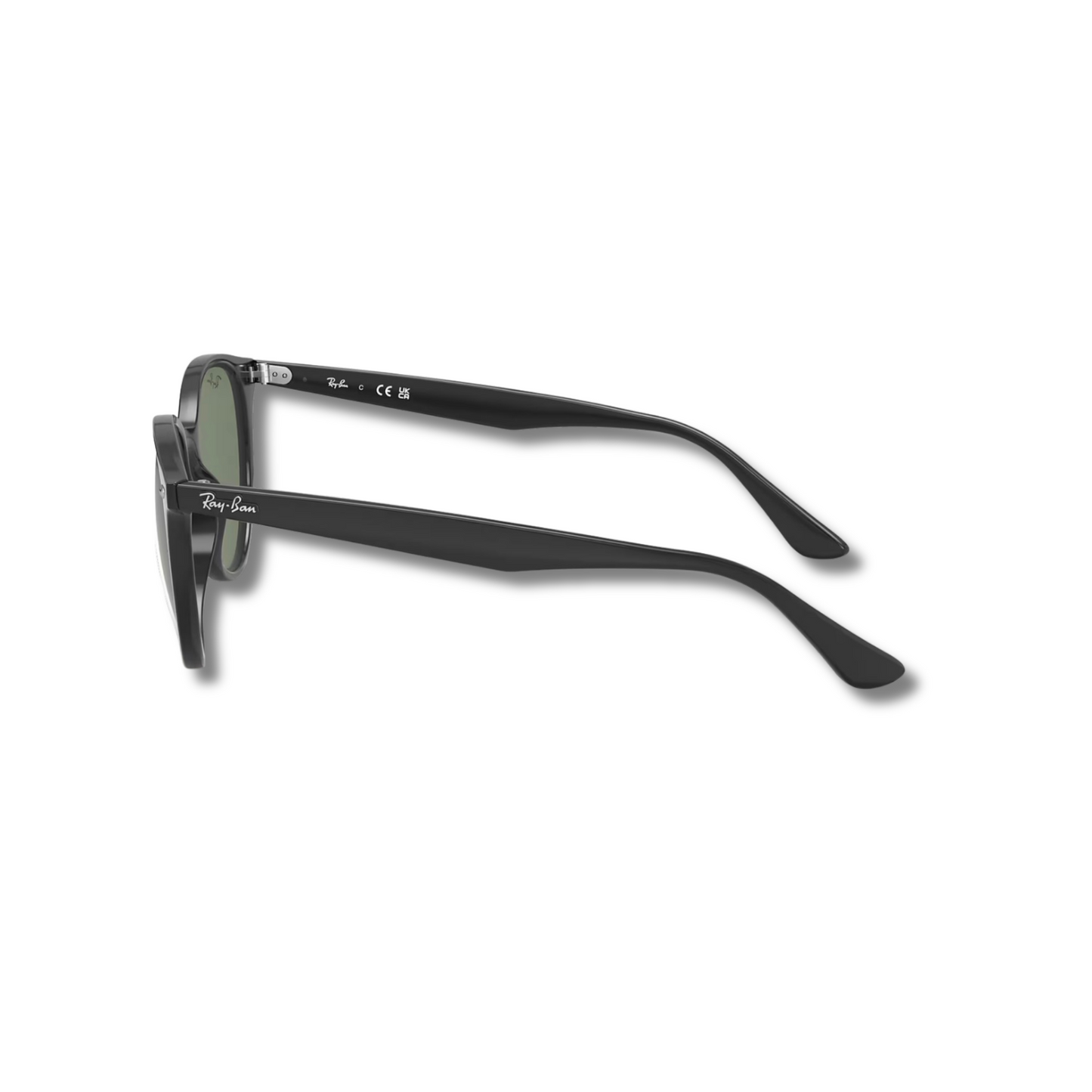 Gafas de Sol RB4305 Classic